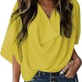 Womens Blouses and Tops Short Sleeve Chiffon Shirts